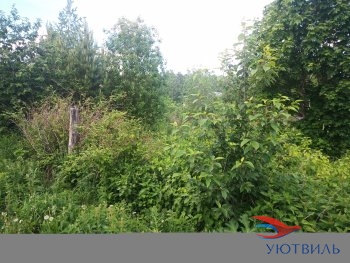 Земля в Станционном-Полевском в Можайске - mozhajsk.yutvil.ru - фото 2 Земля в Станционном-Полевском в Можайске - mozhajsk.yutvil.ru - фото 2