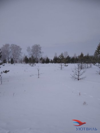 Земельный участок поселок Баженово в Можайске - mozhajsk.yutvil.ru - фото 2 Земельный участок поселок Баженово в Можайске - mozhajsk.yutvil.ru - фото 2
