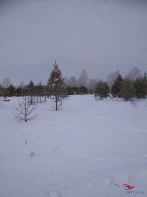 Баженово ул Южная д 7 в Можайске - mozhajsk.yutvil.ru - фото 5 Баженово ул Южная д 7 в Можайске - mozhajsk.yutvil.ru - фото 5