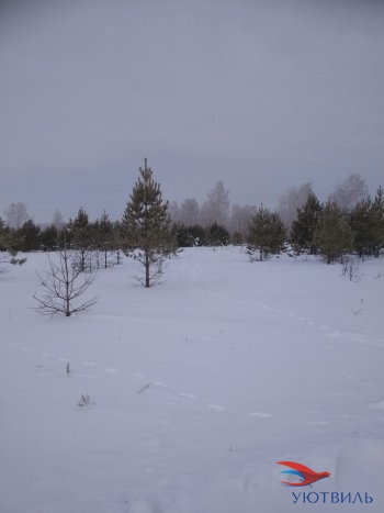 Земельный участок поселок Баженово в Можайске - mozhajsk.yutvil.ru - фото 5