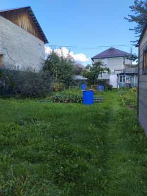 Коллективный сад номер 7, участок 58 в Можайске - mozhajsk.yutvil.ru - фото 26 Коллективный сад номер 7, участок 58 в Можайске - mozhajsk.yutvil.ru - фото 26