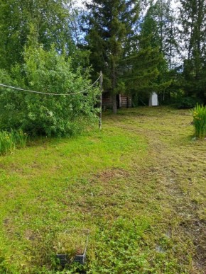 СНТ Калининец-10, уч. 1-11-3 в Можайске - mozhajsk.yutvil.ru - фото 10 СНТ Калининец-10, уч. 1-11-3 в Можайске - mozhajsk.yutvil.ru - фото 10