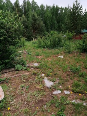 СТН Семья №112, Верхняя пышма на землях бывшего подсобного хозяйтва верхнепышминского опытного завода в Можайске - mozhajsk.yutvil.ru - фото 17 СТН Семья №112, Верхняя пышма на землях бывшего подсобного хозяйтва верхнепышминского опытного завода в Можайске - mozhajsk.yutvil.ru - фото 17