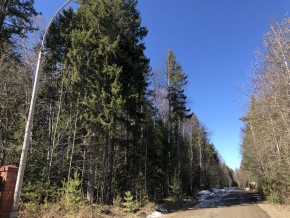 ул. Калиновая,9 в Можайске - mozhajsk.yutvil.ru - фото 4 ул. Калиновая,9 в Можайске - mozhajsk.yutvil.ru - фото 4