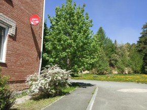 ул. Сосновая, 8 в Можайске - mozhajsk.yutvil.ru - фото 25 ул. Сосновая, 8 в Можайске - mozhajsk.yutvil.ru - фото 25