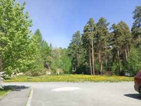 ул. Сосновая, 8 в Можайске - mozhajsk.yutvil.ru - фото 26 ул. Сосновая, 8 в Можайске - mozhajsk.yutvil.ru - фото 26