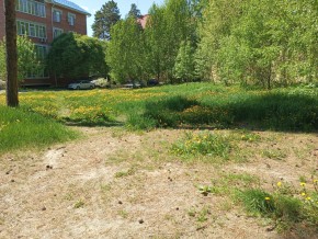 ул. Сосновая, 8 в Можайске - mozhajsk.yutvil.ru - фото 33 ул. Сосновая, 8 в Можайске - mozhajsk.yutvil.ru - фото 33